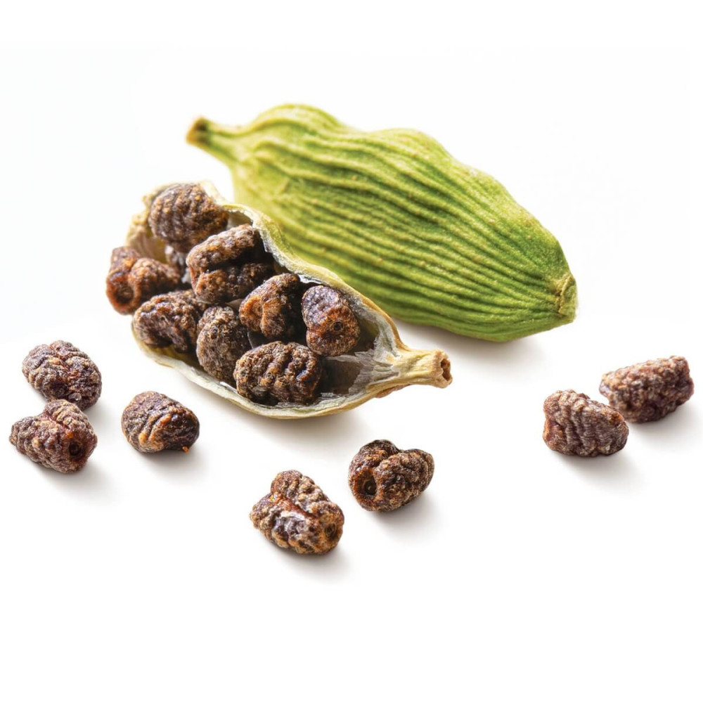 Cardamome