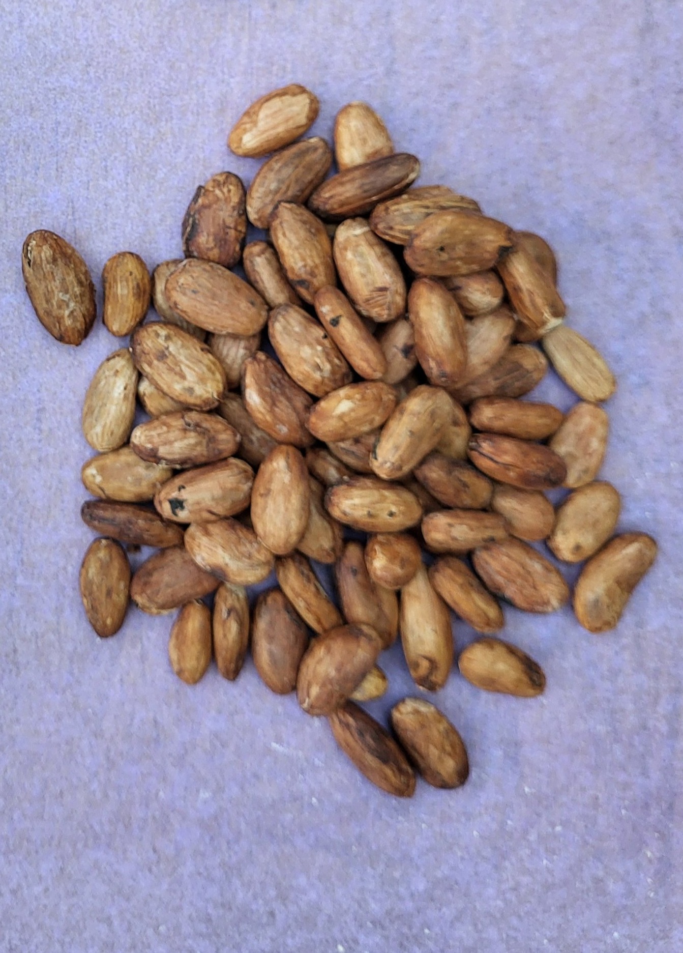 Cacao Brut 